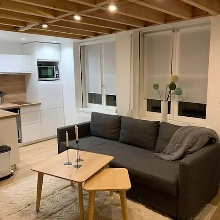 Coeur Vieux Lille, En Duplex Appartement Rijsel